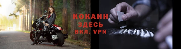 экстази Бородино