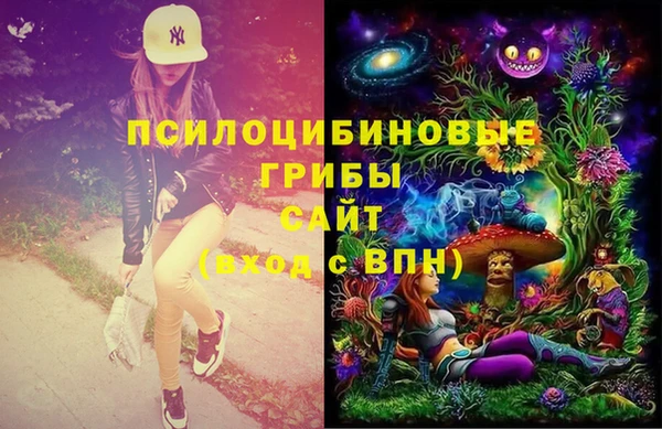 экстази Бородино